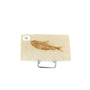 Poisson fossile Knightia Eocaena USA 14 La Taillerie