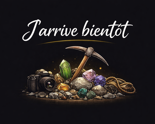 Bracelet Pierre de lune pêche en perles