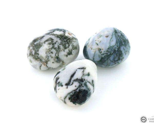 Agate Mousse Pierre Roulée Ma boutique