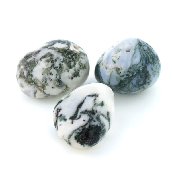 Agate Mousse Pierre Roulée Ma boutique