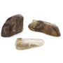 Bois Fossilisé Pierre Roulée Ma boutique