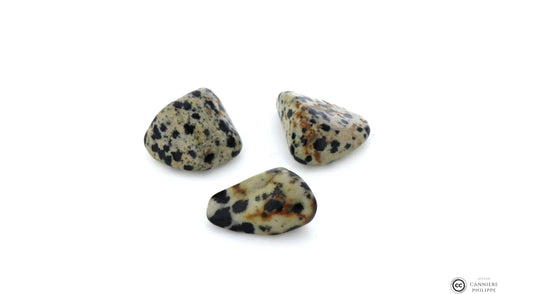 Jaspe Dalmatien Pierre Roulée Ma boutique
