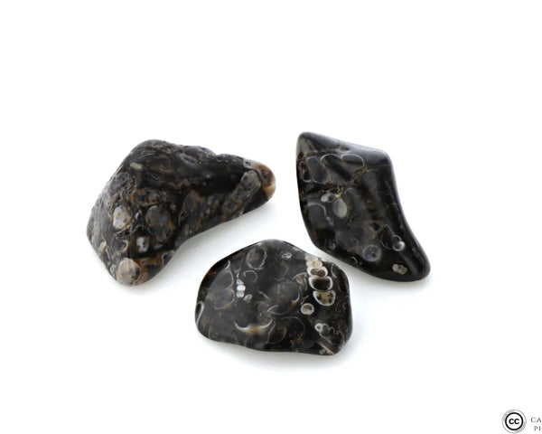Agate Turritelle Pierre Roulée Ma boutique