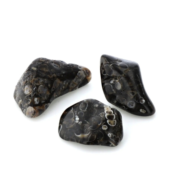 Agate Turritelle Pierre Roulée Ma boutique