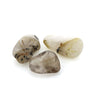 Quartz Rutile Pierre Roulée Ma boutique